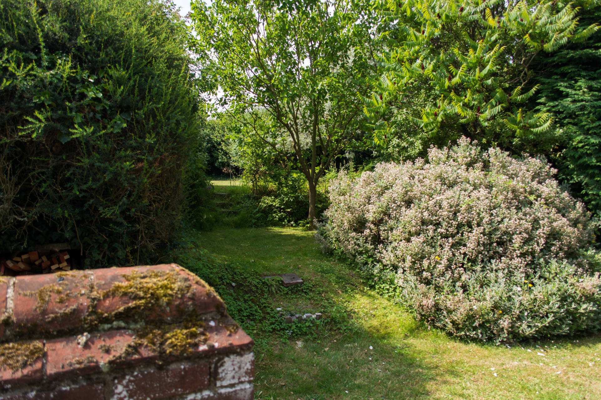 Marlpit's large outside garden area with tree and plants.