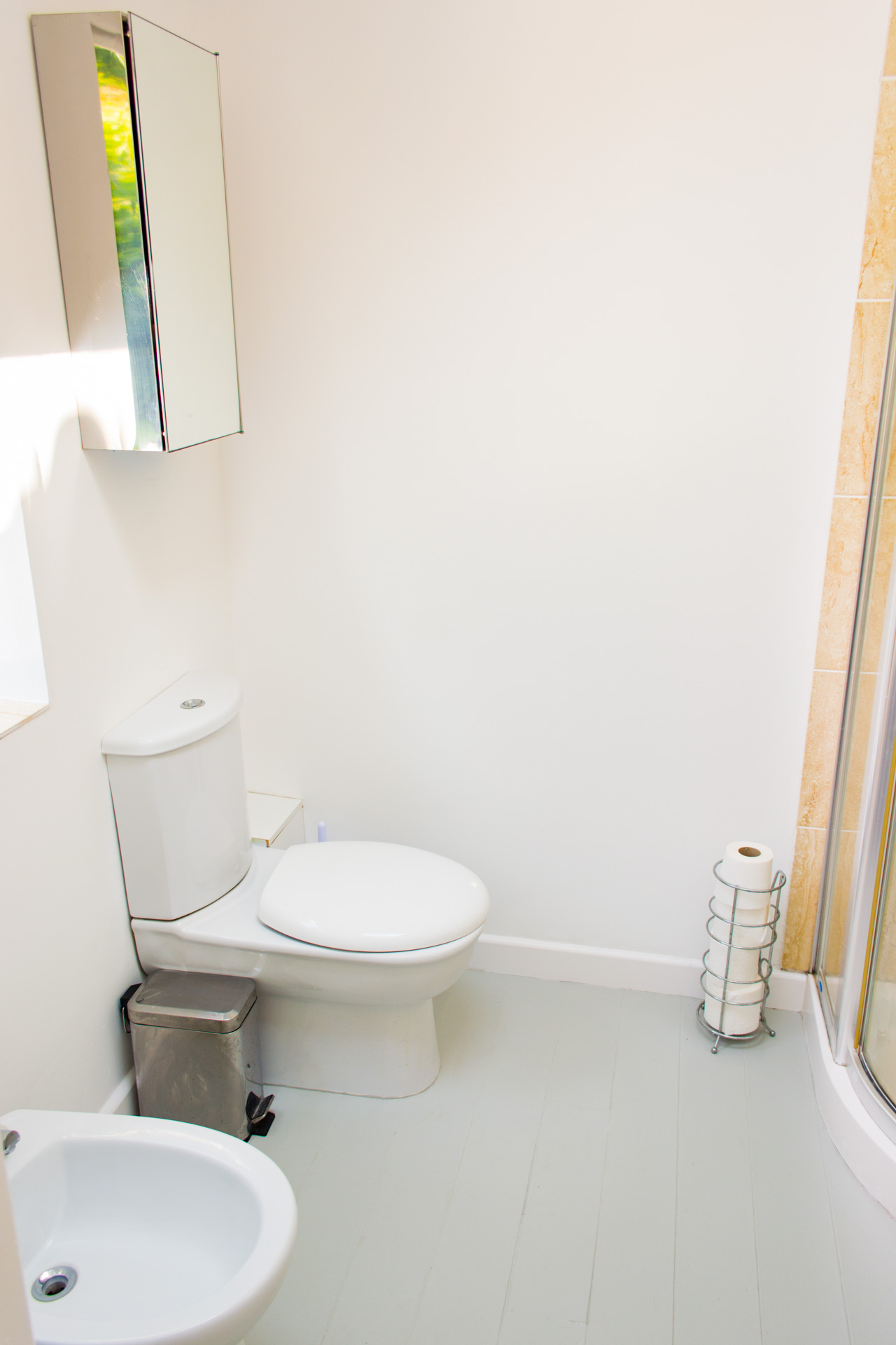 Downstairs bathroom photo of a toilet.